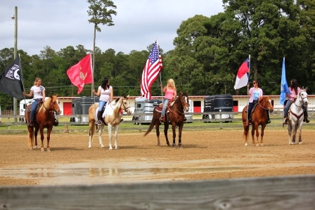 Horses and Flags